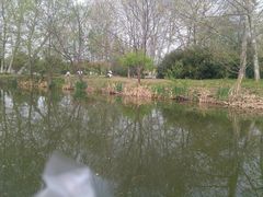 景点-焦山风景区