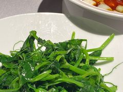 -许家菜(DT51店)