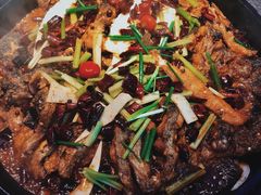 -老板恋上鱼(恒隆广场店)