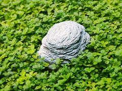 -玉华台饭庄·淮扬菜·烤鸭(望京店)