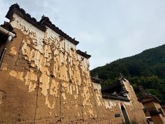 -杨家堂村