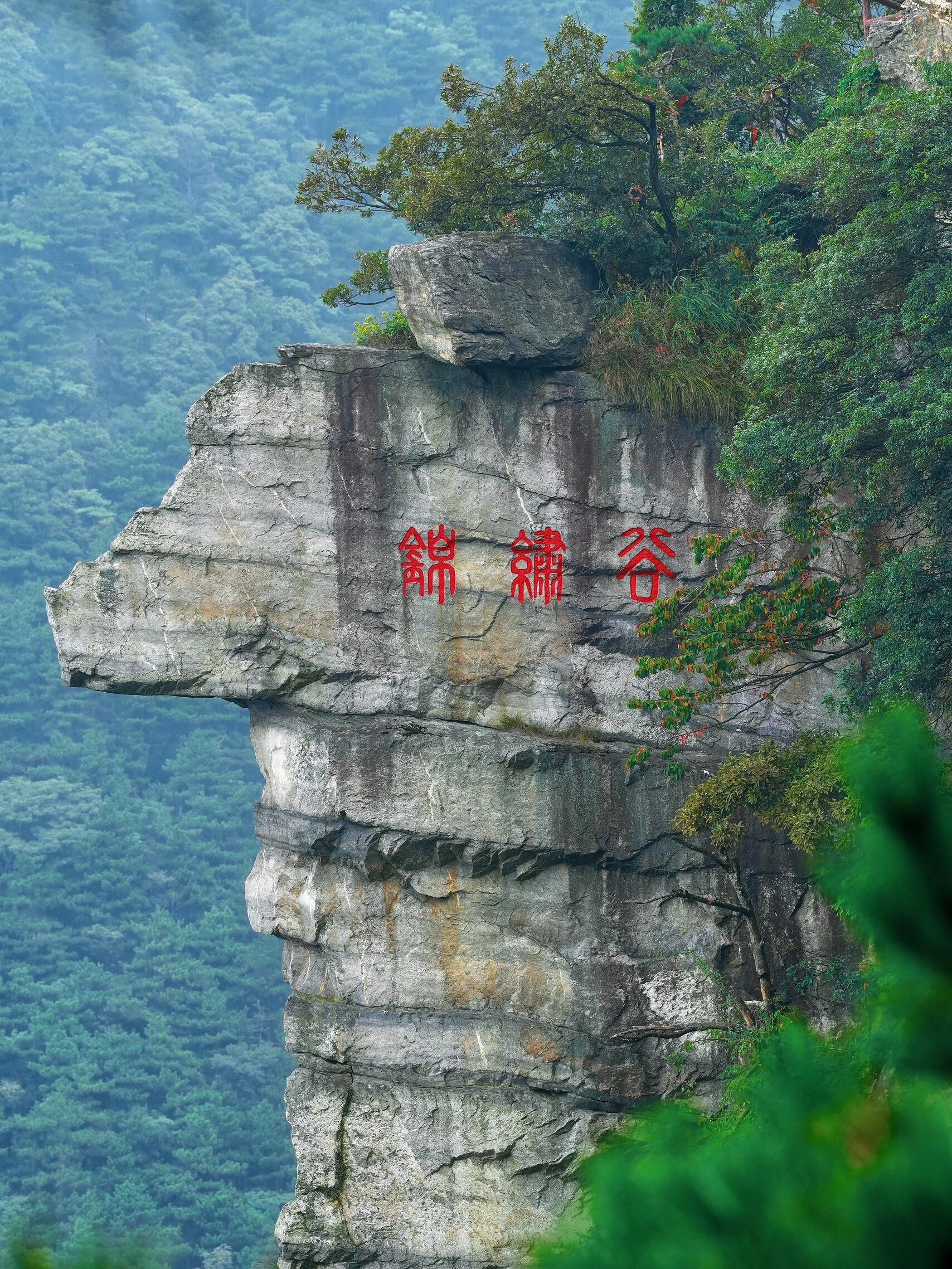 泰山锦绣谷风景区图片