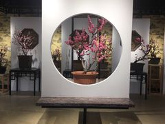 -石家庄市植物园