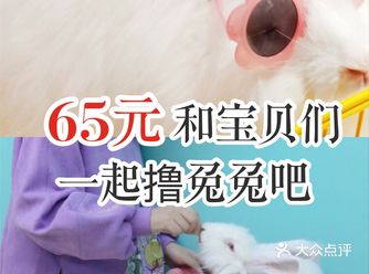 65元和宝贝们一起撸兔兔吧