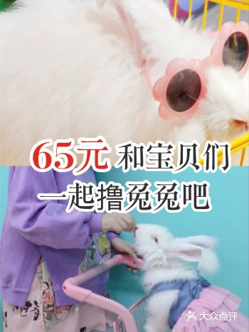 65元和宝贝们一起撸兔兔吧