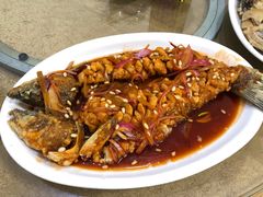 -新合益乡村农庄