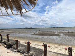 -北海金海湾红树林生态旅游区