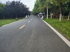 -艾溪湖湿地公园