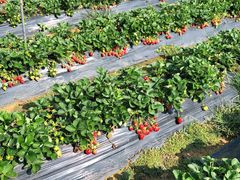 -深圳海边小筑客栈