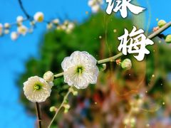 -静安雕塑公园