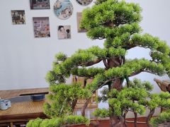 -厝味火锅·潮汕卤水火锅(十一合店)