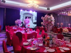 -曼格纳婚礼艺术中心(张江店)