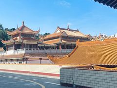 -深圳仙湖植物园