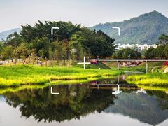 -北岭山森林公园