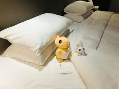 -常州环球恐龙城维景国际大酒店