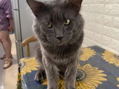 -平行世界·猫咖(首经贸店)