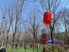 -草根堂农场