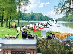 -南宁良凤江国家森林公园