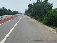 -日照海滨国家森林公园