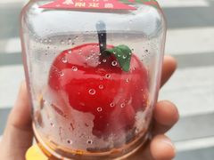 -GANSO元祖食品(诚信大道店)