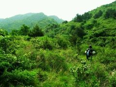 -大岭沟猕猴桃谷风景区