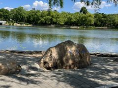 -长春市南湖公园