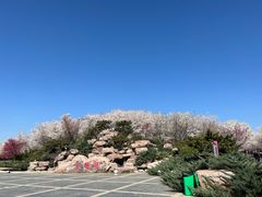 -古柏渡飞黄旅游区