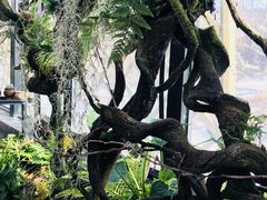 -北马山庄植趣咖啡