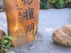 -深圳仙湖植物园
