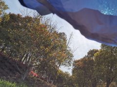 -映月湖中央公园