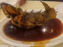 挣蹦鲤鱼-奥华餐厅·老张记(台基厂店)