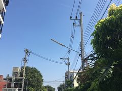 -蝶豆花蓝面条