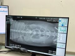 -达爱动物医院·犬猫分区·CT·复杂眼科(远洋山水分院)