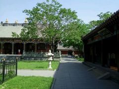 -护国法轮寺