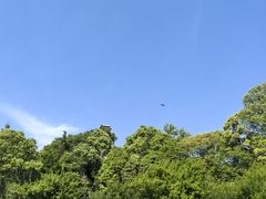 -窦圌山风景区