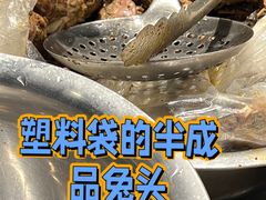 -老号尤兔头(幸福店)