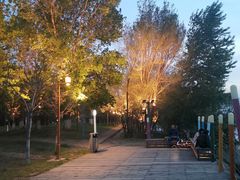 -长白岛森林公园