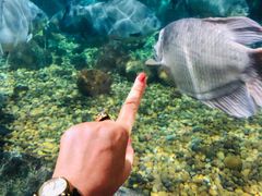 -暹罗海洋世界