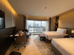 -新加坡瑞士史丹福酒店