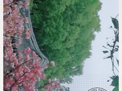 -范蠡湖公园