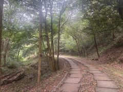 -黄公望隐居地