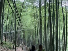 -藏龙百瀑风景区