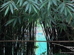 -桂林兴坪漓江