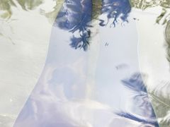 -三亚珠江南田温泉度假区