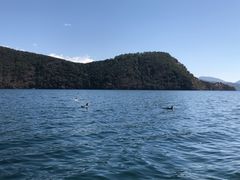 -丽江泸沽湖景区-里格半岛
