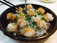 -蒲园食堂(中山大学广州校区南校园店)