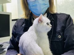 -瑞派申生动物医院·24H夜诊·国际动物医疗中心·骨外科(吴中路店)