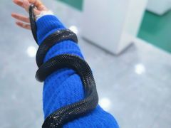 -上海昆虫博物馆