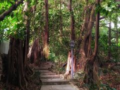 -小南山公园