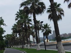 -金沙湖公园